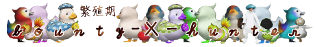 BOUNTY-X-HUNTER